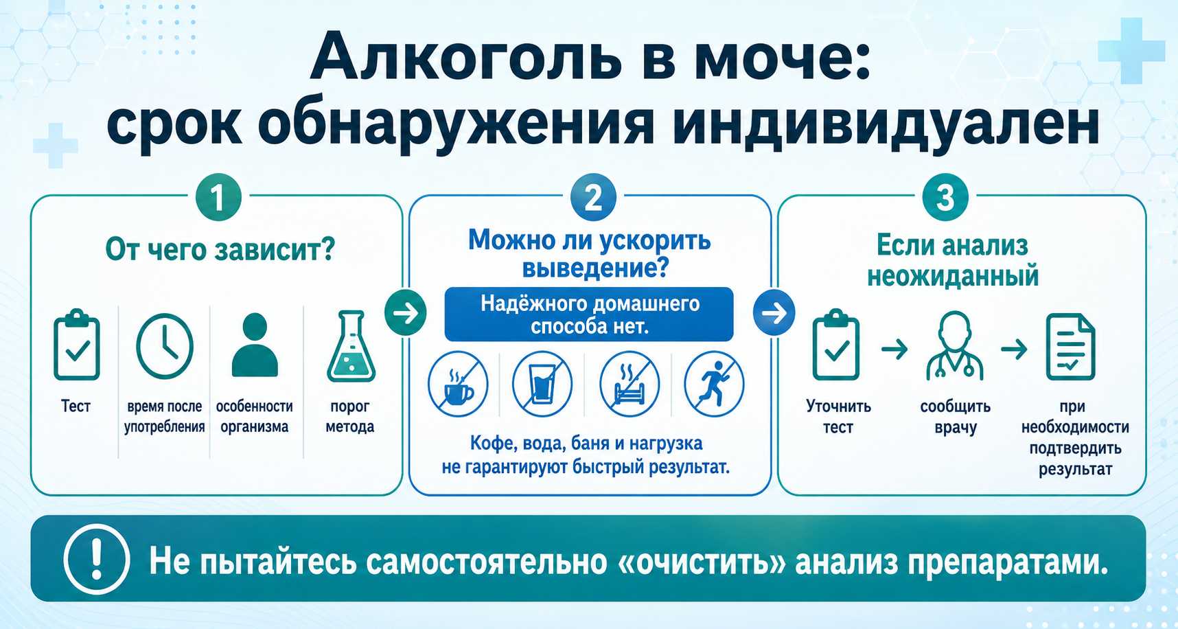 Инфографика показывает, что срок обнаружения алкоголя в моче индивидуален