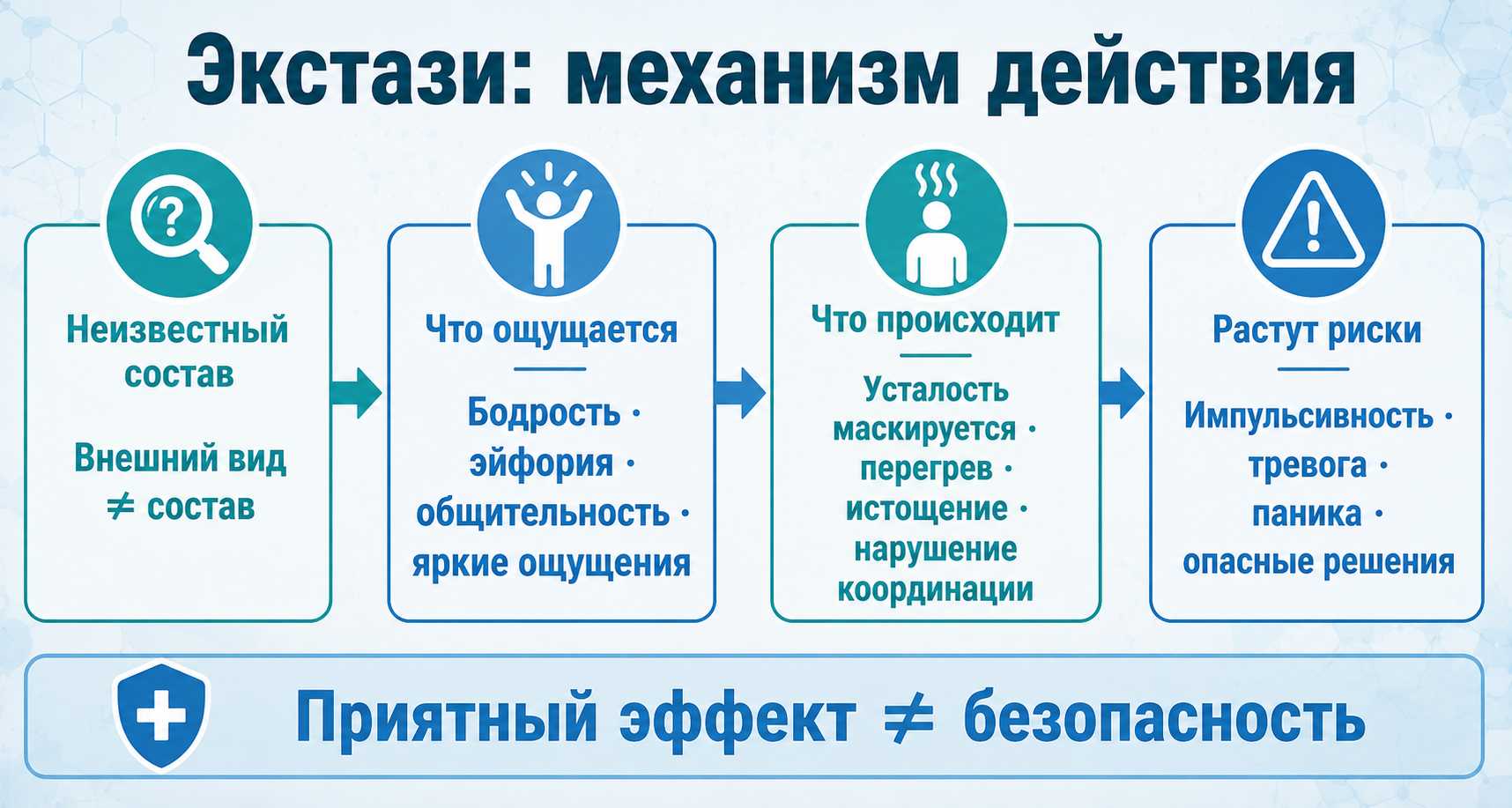 Инфографика показывает механизм действия экстази